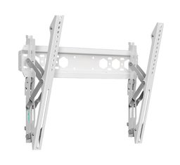 TM5 WHITE Supports murale TV 32 à 65 pouces [TM5 WHITE]